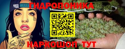 ГАЛЛЮЦИНОГЕННЫЕ ГРИБЫ Нальчик