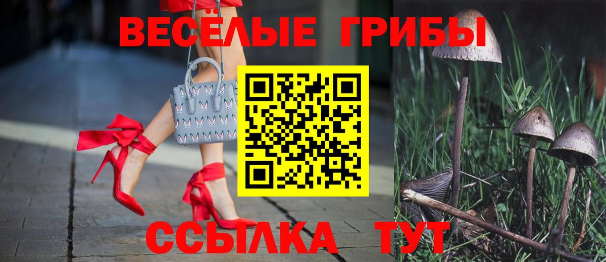 Галлюциногенные грибы мицелий Осинники