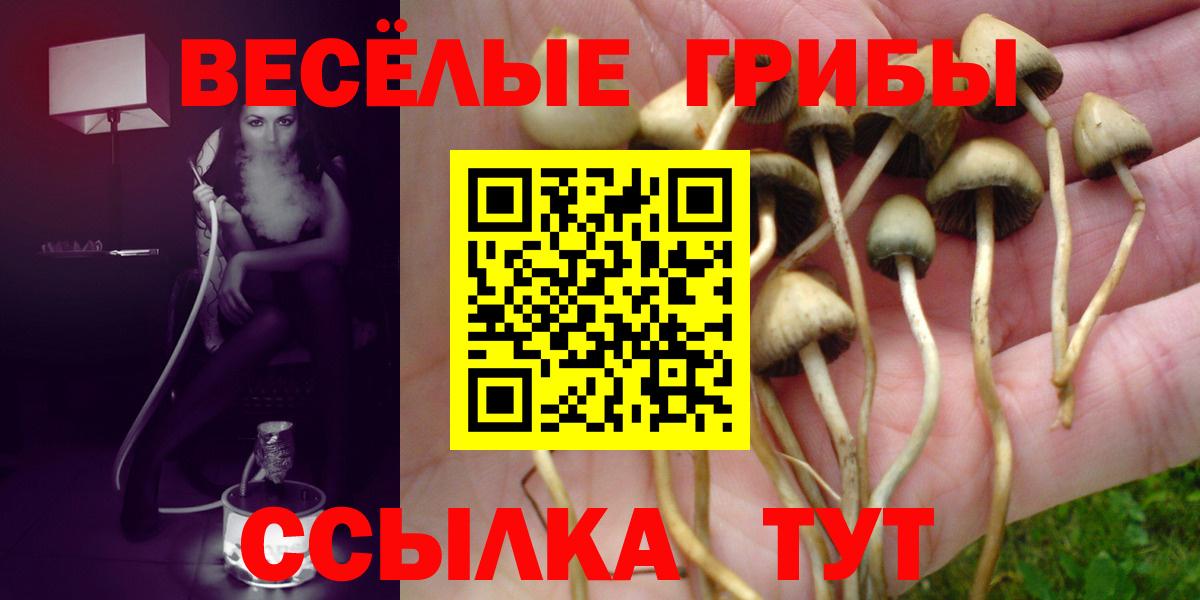 купить наркотики сайты  Галлюциногенные грибы Psilocybe  Вход с VPN  Осинники 